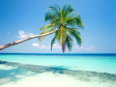 Пляж на Мальдивах, Индийский океан - Пляж - Природа - Картинки на рабочий  стол