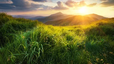 Images Nature Hill Sunrises and sunsets Grass Clouds 1366x768