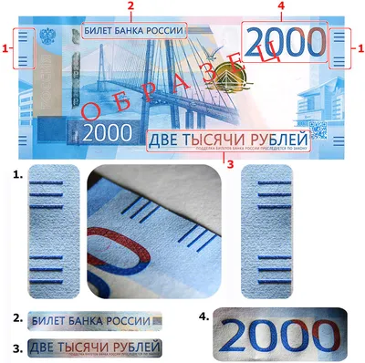 Что делать, если не принимают новые купюры 200 и 2000 рублей - Советы -  РИАМО в Королеве