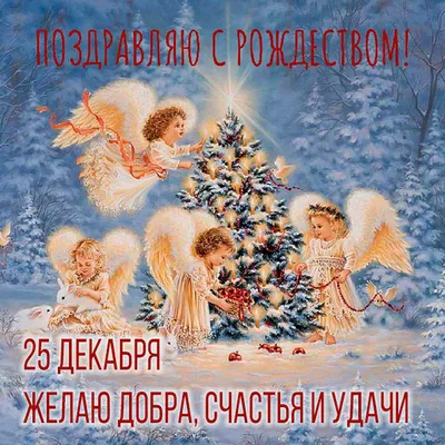 Какой сегодня праздник в Таджикистане и мире: 25 декабря - 25.12.2020,  Sputnik Таджикистан