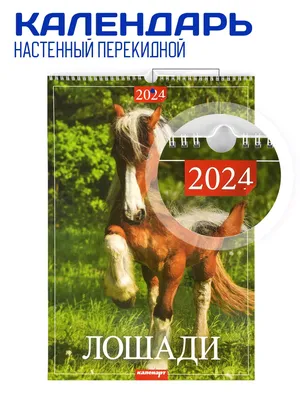 Купить календарь перекидной на ригеле \"Лошади\" 2023 год, 320х480 мм, цены в  Москве на Мегамаркет | Артикул: 100043174130