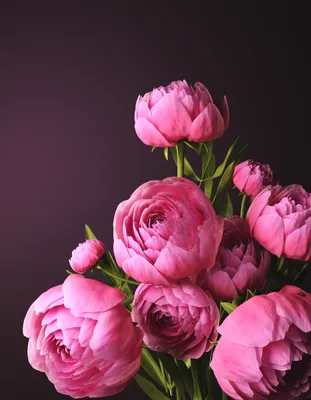 Диковинные цветы в вазе, 3d рисунок…» — создано в Шедевруме