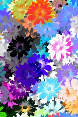 Скачать 800x1200 цветы, разноцветный, рисунок, масляный обои, картинки  iphone 4s/4 for parallax | Розовые фоны, Цветы, Обои