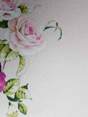 Обои виниловые на флизелине Petite Fleur 4 Rasch Texti 289076 крупные цветы  розы на розовом фоне (ID#728107752), цена: 1144.60 ₴, купить на Prom.ua