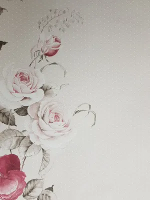 Сиреневые цветы 4k — обои на телефон красивые лето (3840x2560)