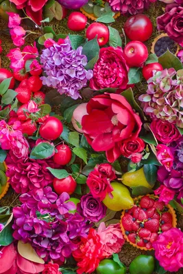 Скачать 800x1200 цветы, фрукты, лето, натюрморт, пирожные обои, картинки  iphone 4s/4 for parallax