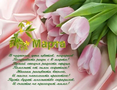 Поздравления с 8 марта в стихах: прикольные стихи на 8 марта, стихи к 8  марта - IVONA - bigmir)net - IVONA.UA