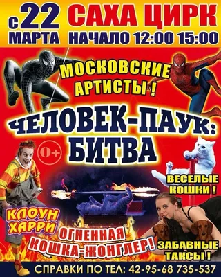 Цирк Зажигает огни\": зрителей ждет яркая программа во Владивостокском цирке  в ноябре - PrimaMedia.ru