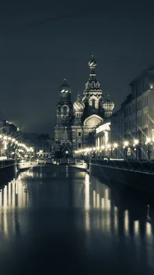 Обои Санкт-Петербург, Россия, мост, церковь, деревья 640x1136 iPhone  5/5S/5C/SE Изображение