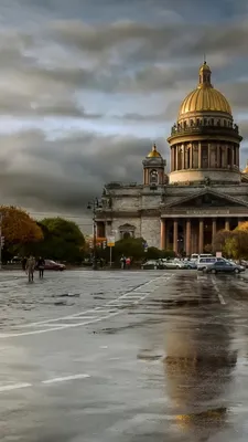 Петербург картинки - 76 фото