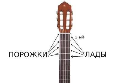 Гитара: тренировка пальцев для перестановки аккордов | Пикабу