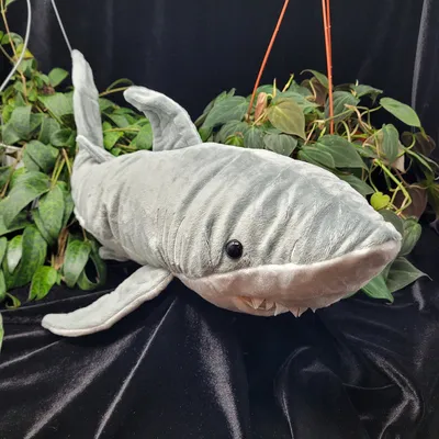Shark Plush Toy – Kawaii Merchandise