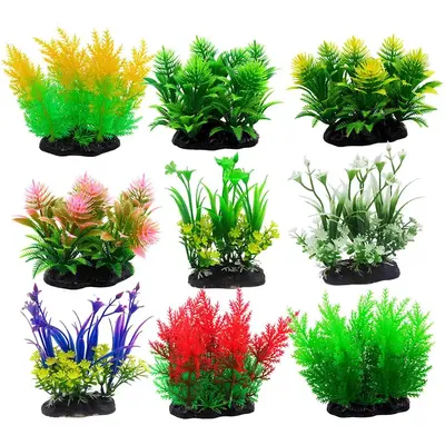 Купить аквариумные растения в Ашдоде: добавить естественный оттенок вашему  аквариуму. - Acol