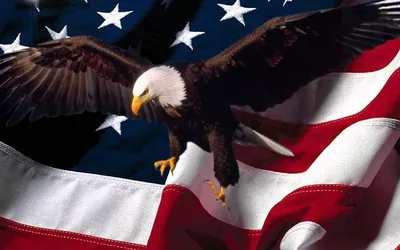 Обои на рабочий стол Орел и американский флаг - символы США / USA, обои для  рабочего стола, скачать обои, обои бесплатно