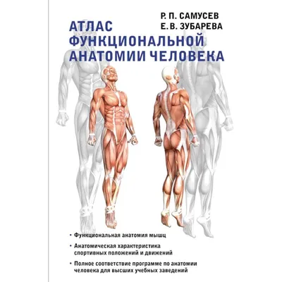 Атлас функциональной анатомии человека — купить книги на русском языке в  Польше на Booksrus.pl