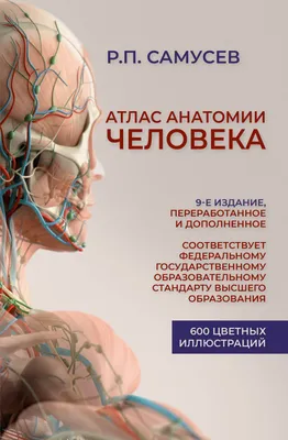 Атлас анатомии человека. Подробное иллюстрированное руководство — купить  книги на русском языке в Швеции на BooksInHand.se