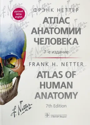 Купить Атлас анатомии человека в срезах, КТ и МРТ-изображениях (5517991) в  Крыму, цены, отзывы, характеристики | Микролайн