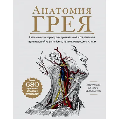 Анатомия: русско-латинский атлас-раскраска - МНОГОКНИГ.ee - Книжный  интернет-магазин