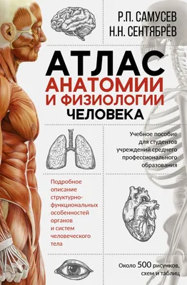 Атлас анатомии человека с дополненной реальностью knizka.pl