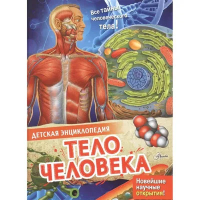 Тело человека — купить книги на русском языке в Дании на ReadBooks.dk
