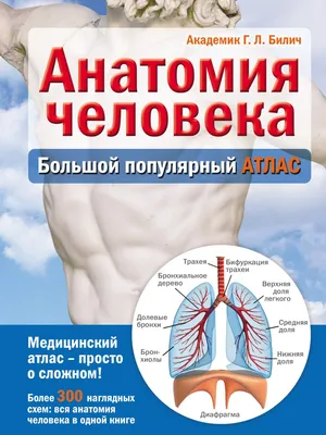Скачать «Анатомия человека Большой популярный атлас» Габриэль Билич в  формате от 359 ₽ | Эксмо