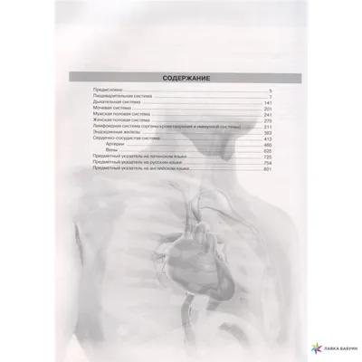 Анатомия человека. Атлас. В III томах. Том II