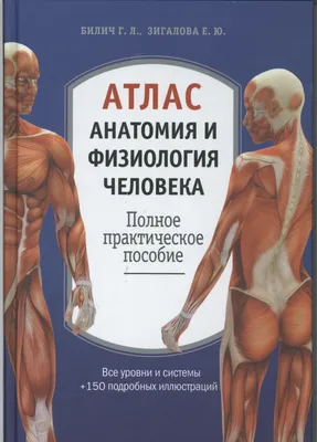 Купить sobotta. атлас анатомии человека. т. 2, - 2 изд. на medpublishing.ru