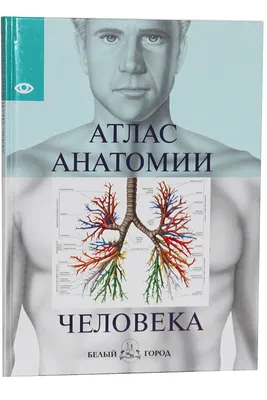 Анатомия человека. Фотографический атлас. Том 3. Внутренние органы. Нервная  система