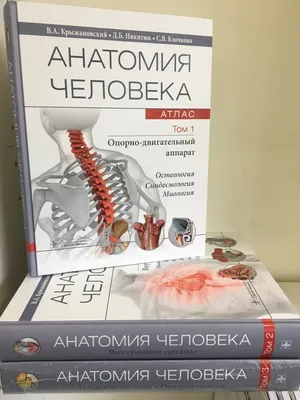 Атлас анатомии человека. Все органы человеческого тела, цена — 761 р.,  купить книгу в интернет-магазине