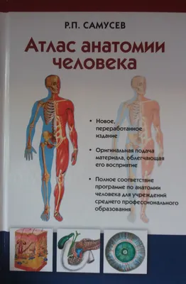 Книга Атлас анатомии человека. Все органы человеческого тела. Большая  коллекция