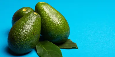 Почему авокадо полезно для людей и вредно для лесов - Газета.Ru