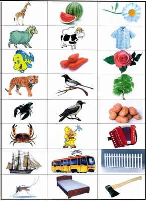 Игра — рифма «Запомни и повтори» для автоматизации звука «Р» (1 фото).  Воспитателям детских садов, школьным учителям и педагогам - Маам.ру