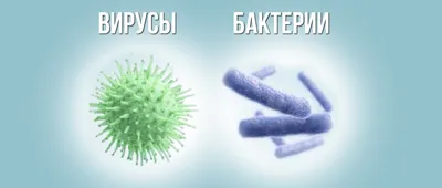Как наука борется с бактериями, устойчивыми к антибиотикам - Российская  газета