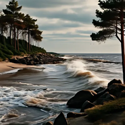 Балтийское Море Пейзажи — стоковые фотографии и другие картинки Балтийское  море - Балтийское море, Без людей, Белый - iStock
