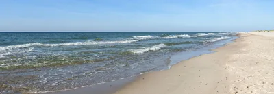 Начинается международная кампания по очистке Балтийского моря | Эстония |  ERR