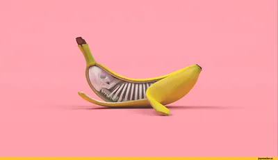 Фотографии Смешные Огурцы Бананы Креатив Пища Цветной фон