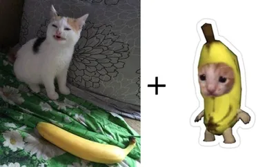 картинка обезьяны с бананами во рту, смешные картинки с бананами, банан,  фрукты фон картинки и Фото для бесплатной загрузки