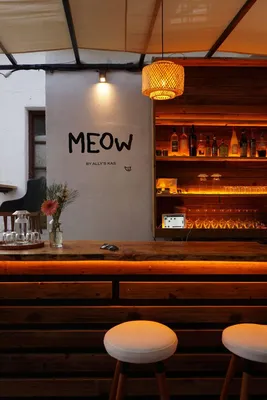 Команда бара Meow открыла второй проект в Турции | chef.ru
