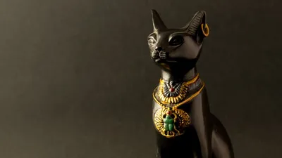 May 2023 Release Preview - Bastet – Ritual Casting
