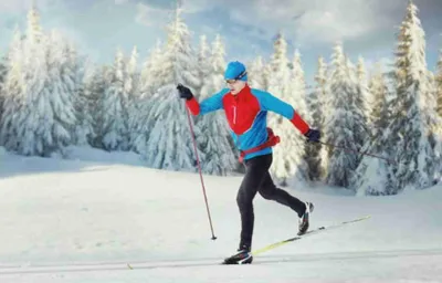 Как выбрать беговые лыжи: советы по выбору, рекомендации по росту и места  для покупки