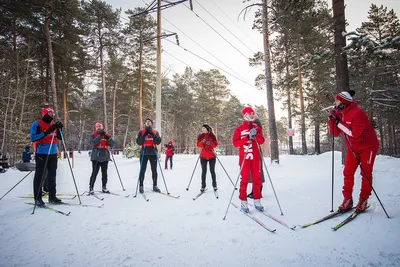 Беговые лыжи коньковые BRADOS WORLD CUP Skate Air red купить с доставкой в  любой регион и самовывозом в Москве в av-sport по низкой цене / Лыжи беговые  / Коньковые любительские / AV-SPORT