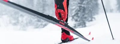 Купить «Беговые лыжи» - цены в экипировочном центре СПАЙН-СПОРТ