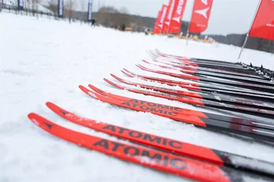 Купить беговые лыжи в интернет-магазине Sportique.ru