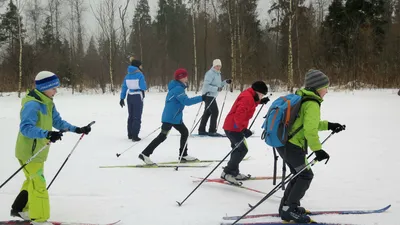 Беговые лыжи Sable купить в Минске