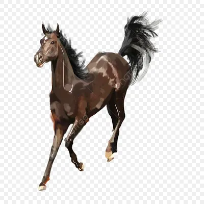 Предметы удачи: картина \"Семь бегущих лошадей\" | ASTROLOGY HORAS | Дзен