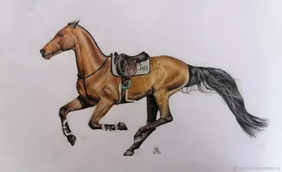 Картина по номерам \"Бегущие лошади\"