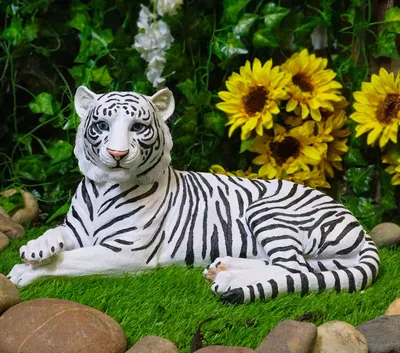 Сторона белого тигра Бенгалии Стоковое Изображение - изображение  насчитывающей осведомленность, млекопитающее: 41838325