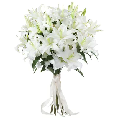 Фотообои Белые лилии Nru23186 купить на заказ в интернет-магазине