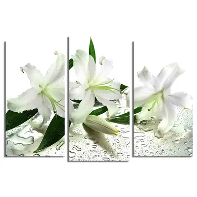 Белые лилии 3D 10-983 (id 111673063) купить в Казахстане, цена на Satu.kz
