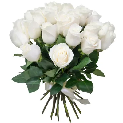 53 белые розы (70 см) – купить оптом и в розницу в Москве и Московской  области – Городская База Цветов